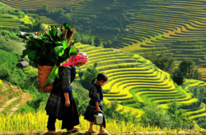 Mường Thanh Luxury Phú Thọ
